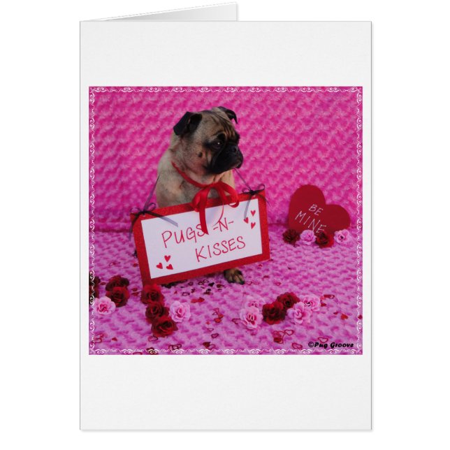 Cannelure de carlin (Devant)