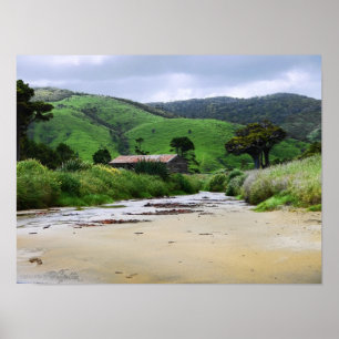 Cannibal Bay : Caitlins : Poster Nouvelle-Zélande