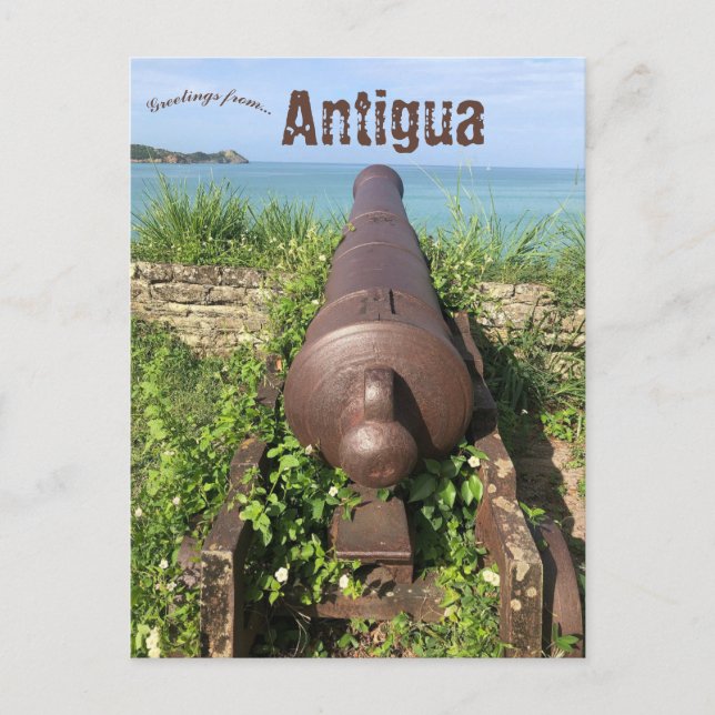 Cannon in Antigua Postkarte (Vorderseite)