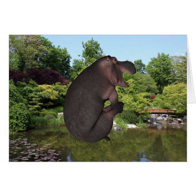 Cannonball Hippo (Vorderseite (Horizontal))