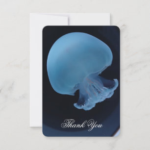 Cannonball Jellyfish Vollfarbige Danksagkarte Dankeskarte