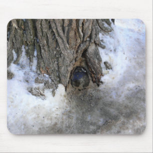 Cannonball Tree, Old Quebec City, Quebec, Kanada Mousepad