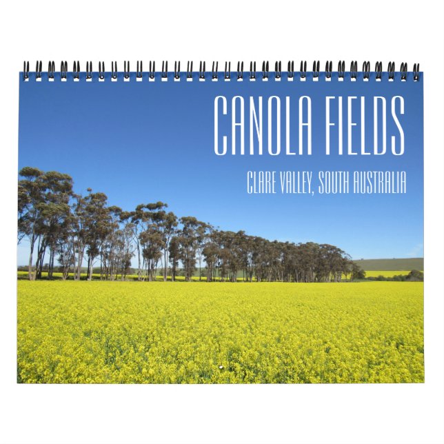 Canola 2026 kalender (Titelbild)