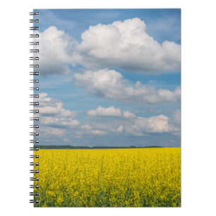 Canola Field & Clouds Notizblock