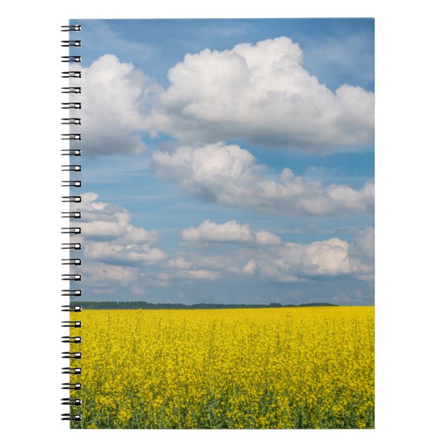 Canola Field & Clouds Notizblock (Vorderseite)