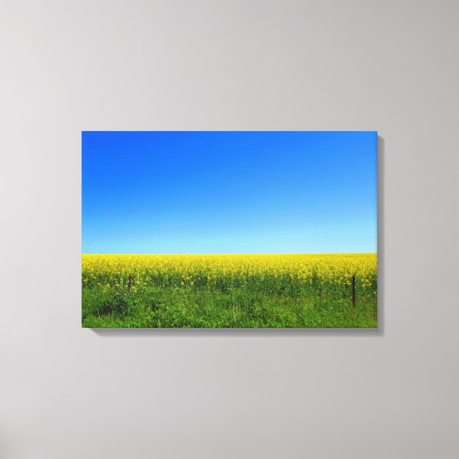 Canola Fields Leinwanddruck (Vorderseite)