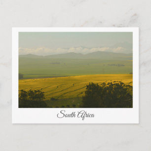 Canola Fields South Africa Landscard Postkarte