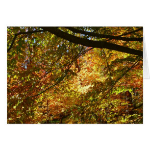 Canopée Feuilles d'automne I Jaune Automne Nature