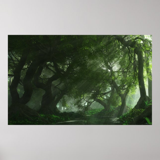 Canopy Creek Poster (Vorne)