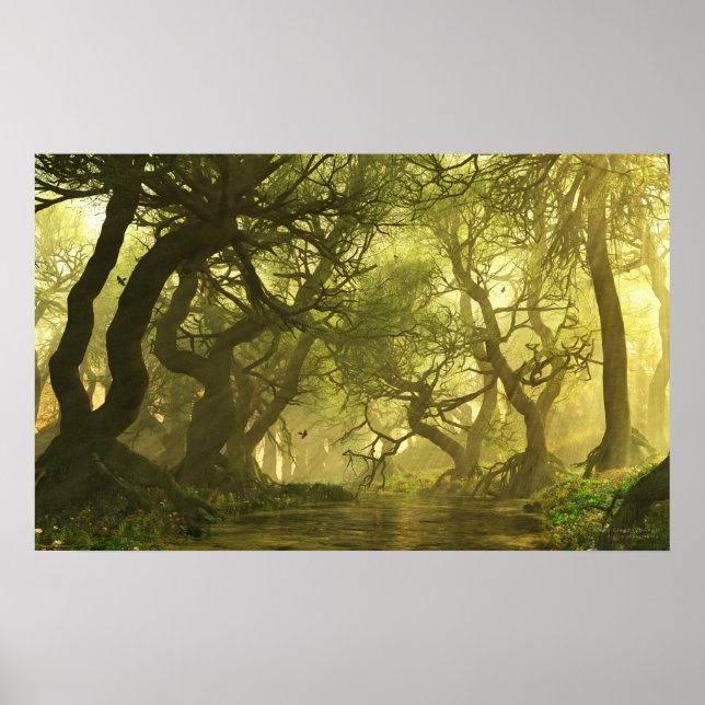 Canopy Creek Spring Poster (Vorne)