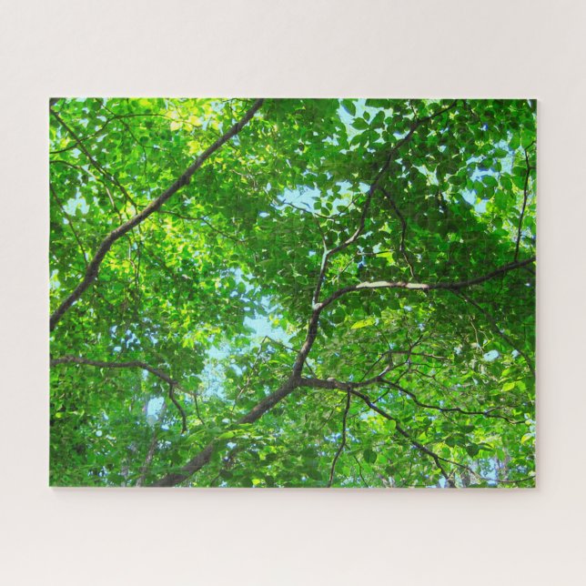 Canopy of Green, Leafy Branches with Blue Sky (Horizontal)