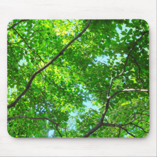 Canopy of Green, Leafy Branches with Blue Sky Mousepad