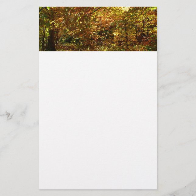 Canopy of Herbstlaubs II Gelbe Herbstfotografie Briefpapier (Vorderseite)
