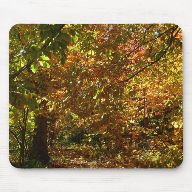 Canopy of Herbstlaubs II Gelbe Herbstfotografie Mousepad (Vorne)
