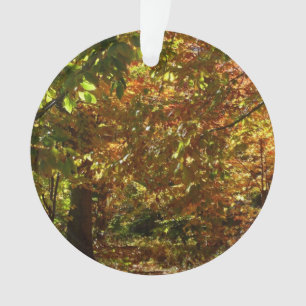 Canopy of Herbstlaubs II Gelbe Herbstfotografie Ornament