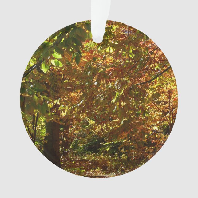 Canopy of Herbstlaubs II Gelbe Herbstfotografie Ornament (Vorderseite)