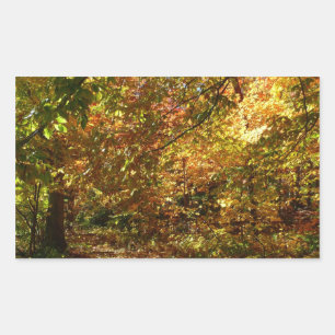 Canopy of Herbstlaubs II Gelbe Herbstfotografie Rechteckiger Aufkleber