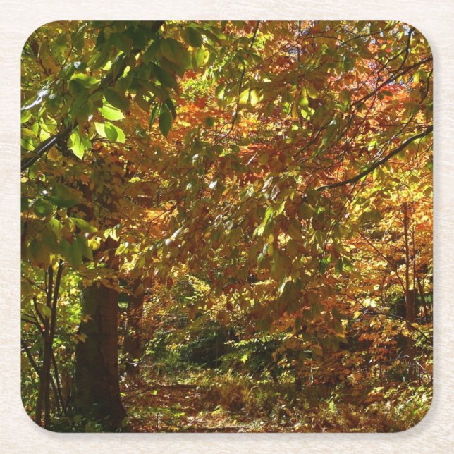 Canopy of Herbstlaubs II Gelbe Herbstfotografie Rechteckiger Pappuntersetzer (Vorderseite)