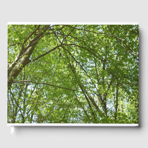 "Canopy of Spring Blätter Green Nature Scene Gästebuch