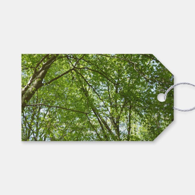 "Canopy of Spring Blätter Green Nature Scene Geschenkanhänger (Vorderseite (Horizontal))