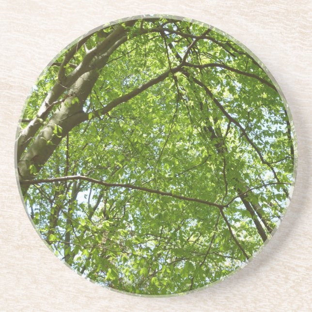 "Canopy of Spring Blätter Green Nature Scene Getränkeuntersetzer (Vorne)