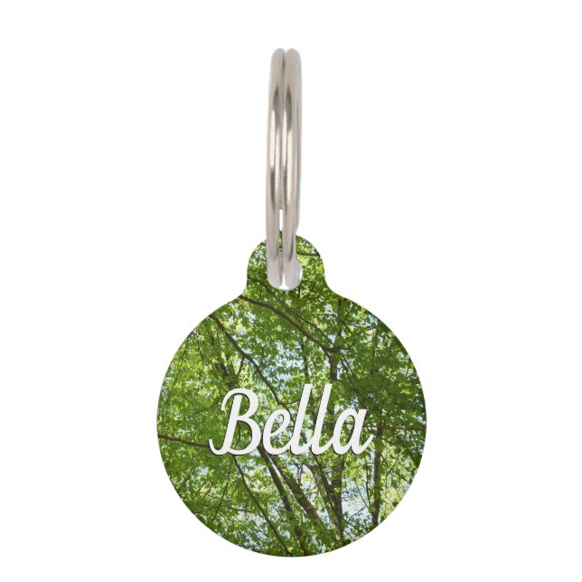 "Canopy of Spring Blätter Green Nature Scene Haustiermarke (Vorderseite)