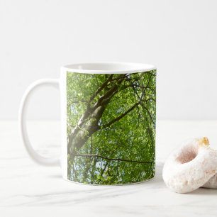 "Canopy of Spring Blätter Green Nature Scene Kaffeetasse