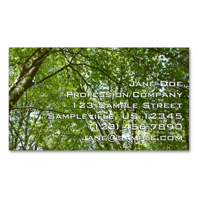 "Canopy of Spring Blätter Green Nature Scene Magnetische Visitenkarte (Vorderseite)