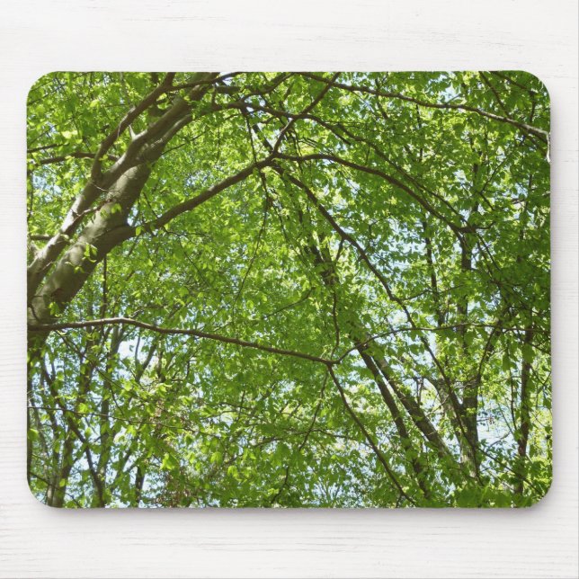 "Canopy of Spring Blätter Green Nature Scene Mousepad (Vorne)