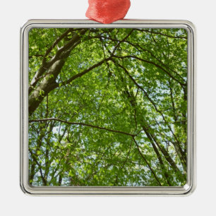 "Canopy of Spring Blätter Green Nature Scene Ornament Aus Metall
