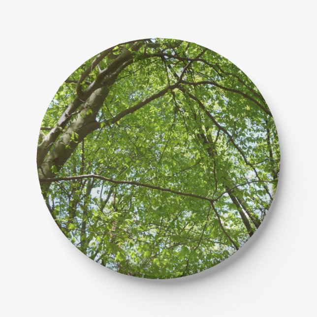 "Canopy of Spring Blätter Green Nature Scene Pappteller (Vorderseite)