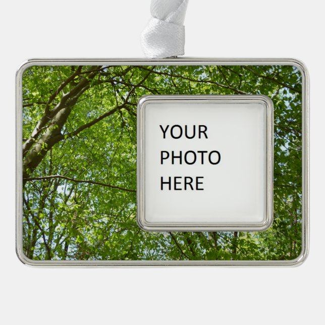 "Canopy of Spring Blätter Green Nature Scene Rahmen-Ornament Silber (Vorderseite)