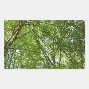 "Canopy of Spring Blätter Green Nature Scene Rechteckiger Aufkleber