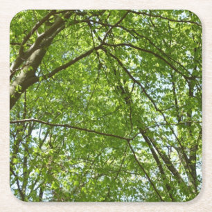 "Canopy of Spring Blätter Green Nature Scene Rechteckiger Pappuntersetzer