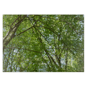 "Canopy of Spring Blätter Green Nature Scene Schneidebrett
