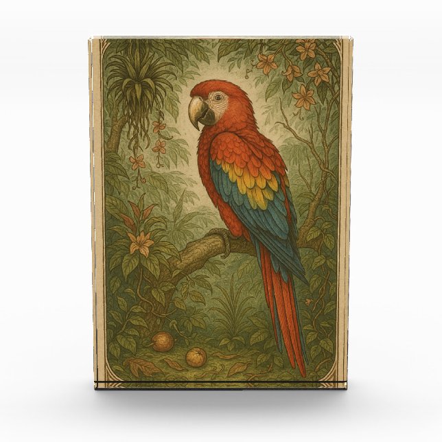 Canopy Sentinel - Die Scarlet Macaw Fotoblock (Vorderseite)