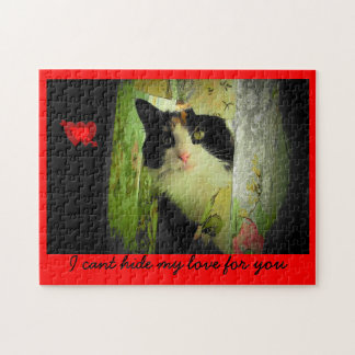 Cant hide - Valenpuzzle