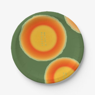 Cantalope Cantaloupe Paper Tellers Frucht Teller