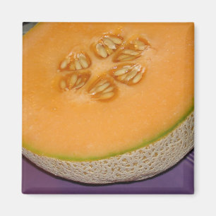 Cantaloupe Magnet