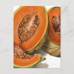 Cantaloupe melon Illustration Postkarte
