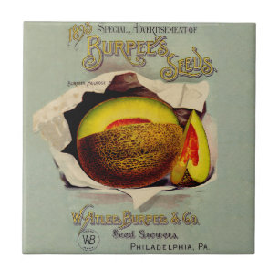 Cantaloupe Seed Advertising Art Antique Fliese