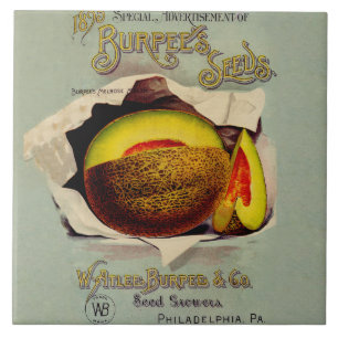 Cantaloupe Seed Advertising Art Antique Fliese