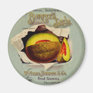 Cantaloupe Seed Advertising Art Antique Magnet