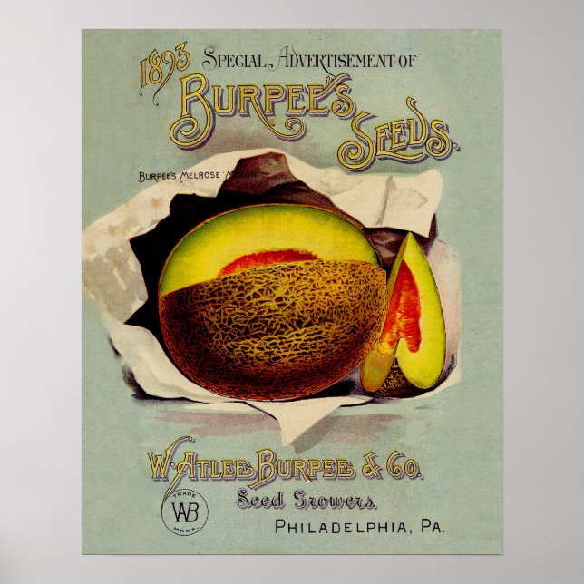 Cantaloupe Seed Advertising Art Antique Poster (Vorne)