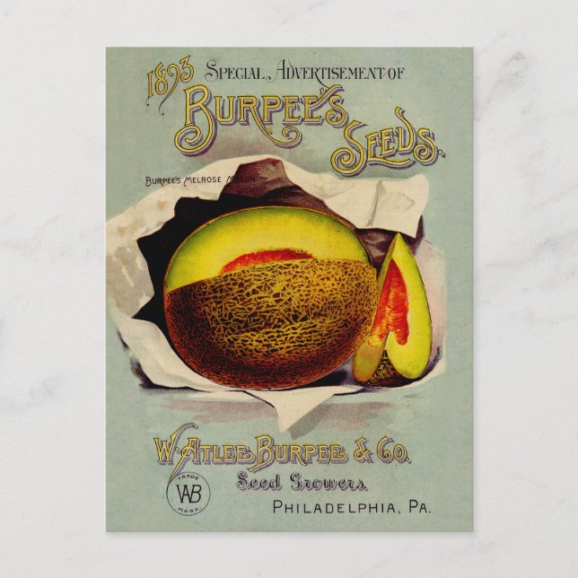 Cantaloupe Seed Advertising Art Antique Postkarte (Vorderseite)