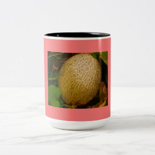 Cantaloupe Zweifarbige Tasse