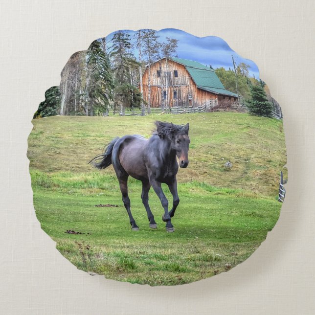 Cantering Black Percheron Horse Equine Foto 2 Rundes Kissen (Vorderseite)