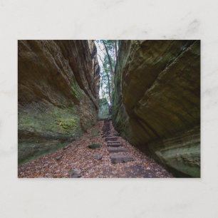 Cantwell Cliffs, Hocking Hills Staat Park, Ohio Postkarte