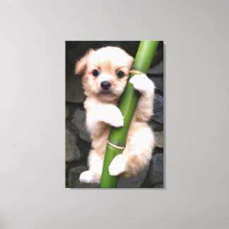 Canvas Cute Puppy Gaejook 개죽이 Leinwanddruck