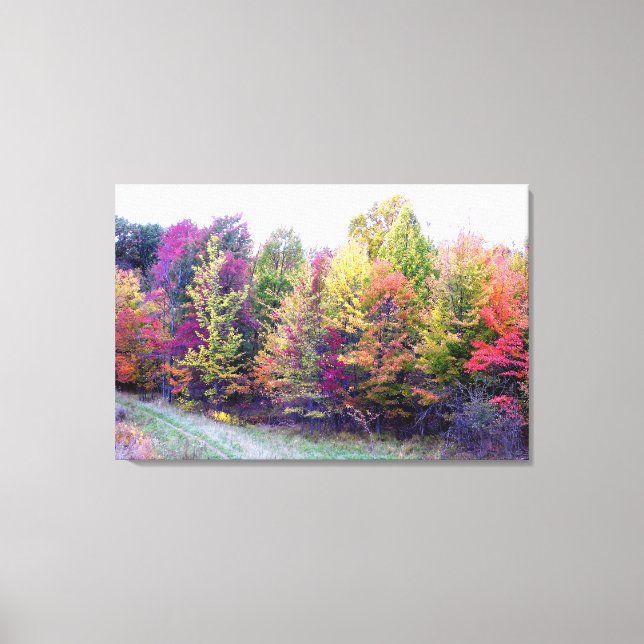 Canvas Herbstfarbe Leinwanddruck (Vorderseite)